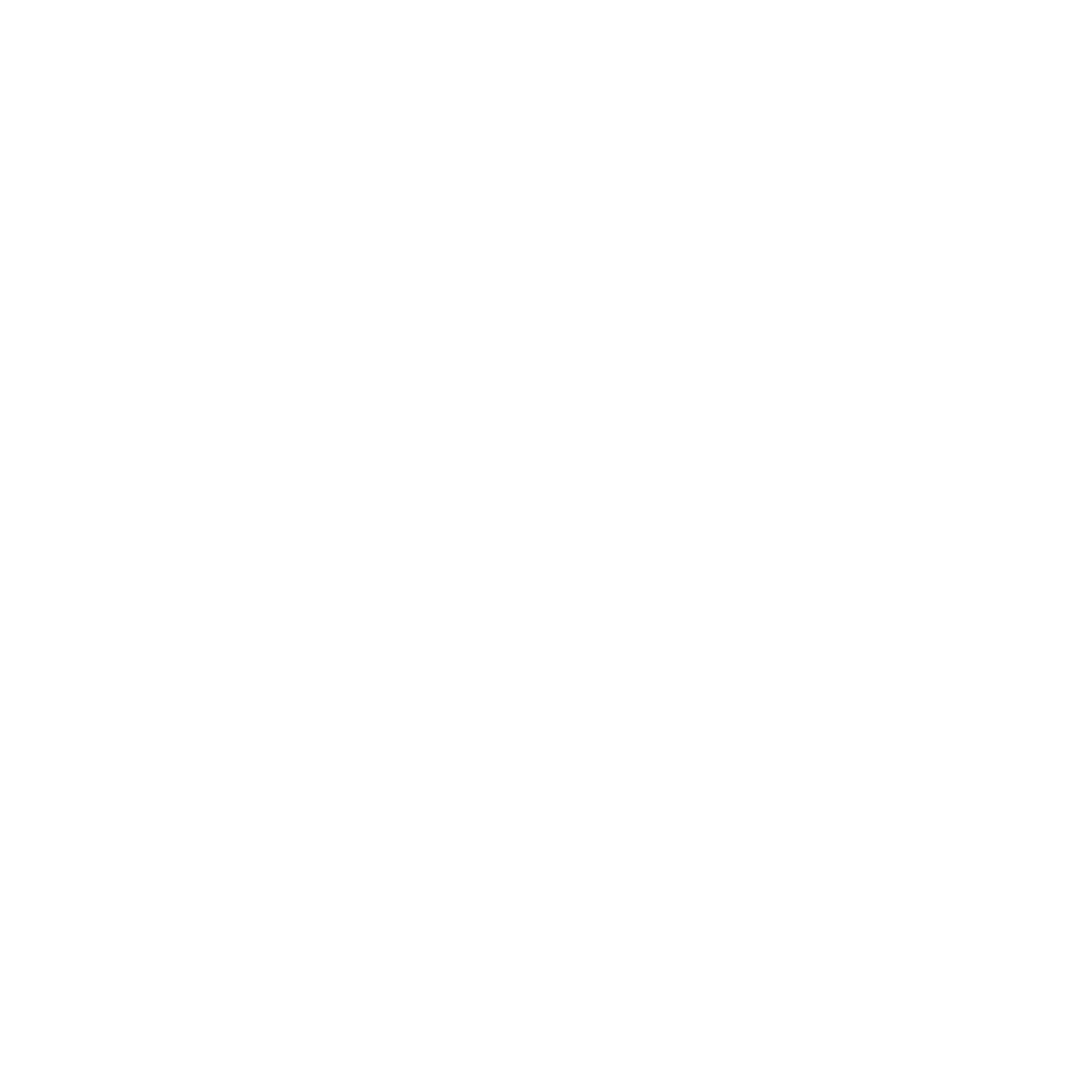 VitoVista Logo White